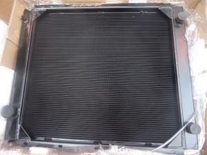 Water Radiator for Foton Truck Aluminum Material with Superior Cooling Performance WG9112530323